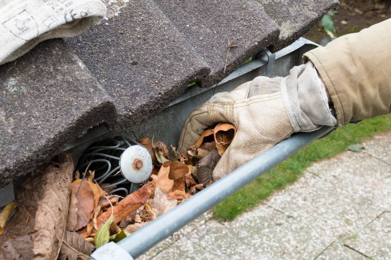 Clogged Gutter Examples