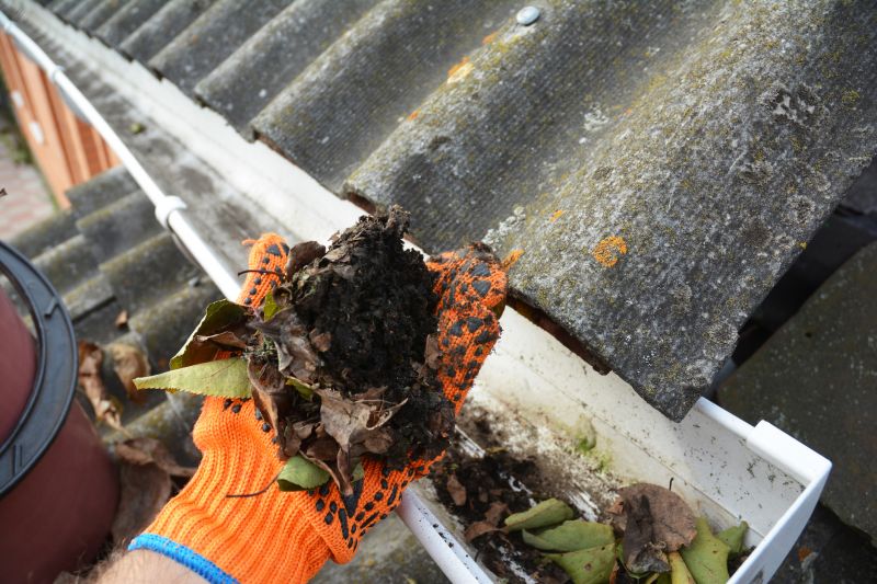 Gutter Cleaning Experts